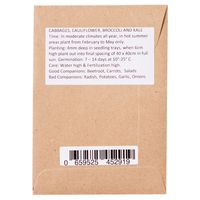 Sandveld Seeds Cabbage Dotterfelder